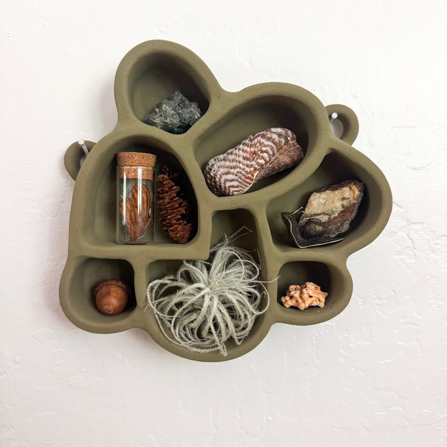 Cement Shelf of Inspiration No. 3 in Olive