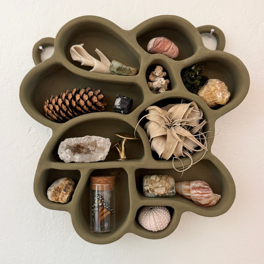 Cement Shelf of Inspiration No. 2 in Olive